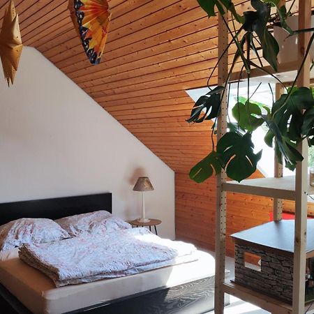 Big Cozy Entire Family Appartment Hannover Exterior photo